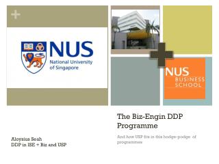 The Biz- Engin DDP Programme