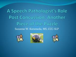 A Speech Pathologist’s Role Post Concussion: Another Piece of the Puzzle