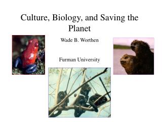 Culture, Biology, and Saving the Planet Wade B. Worthen Furman University