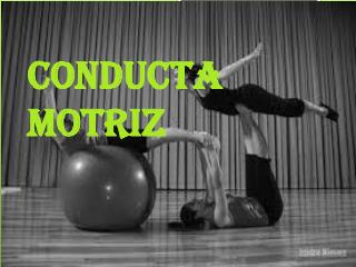 CONDUCTA MOTRIZ