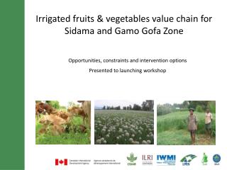 Irrigated fruits &amp; vegetables value chain for Sidama and Gamo Gofa Zone