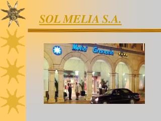 SOL MELIA S.A.