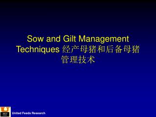 Sow and Gilt Management Techniques 经产母猪和后备母猪管理技术