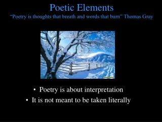 Poetic Elements “Poetry is thoughts that breath and words that burn” Thomas Gray