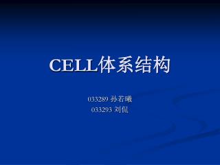 CELL 体系结构
