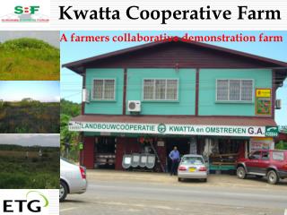 Kwatta Cooperative Farm A farmers collaborative demonstration farm