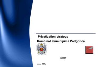 Privatization strategy Kombinat aluminijuma Podgorica DRAFT Jun e 2004