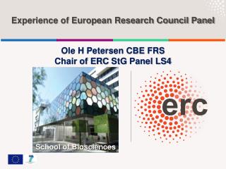 Experience of European Research Council Panel