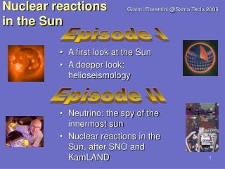 Nuclear reactions in the Sun
