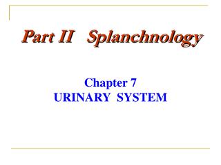 Part II Splanchnology