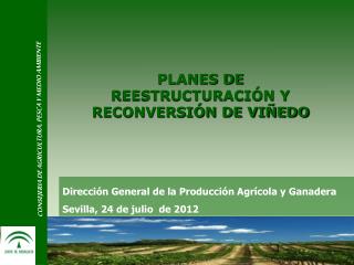 PLANES DE REESTRUCTURACIÓN Y RECONVERSIÓN DE VIÑEDO