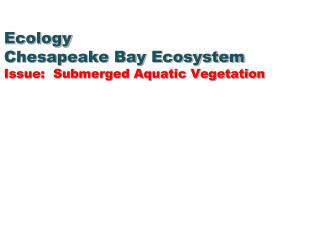 Ecology Chesapeake Bay Ecosystem Issue: Submerged Aquatic Vegetation