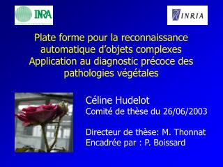 Céline Hudelot Comité de thèse du 26/06/2003 Directeur de thèse: M. Thonnat