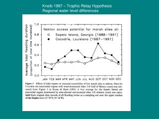 Kneib 1997 – Trophic Relay Hypothesis Regional water level differences