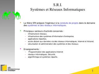 S.R.I. Systèmes et Réseaux Informatiques