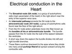 Electrical conduction in the Heart