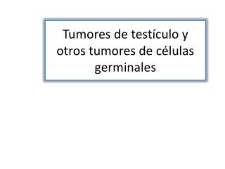 Tumores de testículo y otros tumores de células germinales