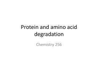 Protein and amino acid degradation