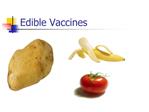 Edible Vaccines