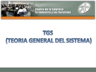 TGS (TEORIA GENERAL DEL SISTEMA)