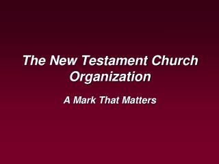 The New Testament Church Organization