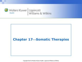 Chapter 17  Somatic Therapies