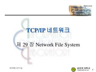 TCP/IP 네트워크