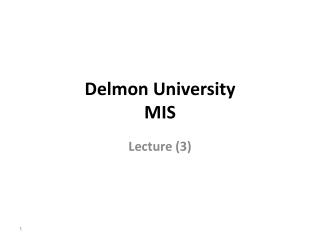 Delmon University MIS
