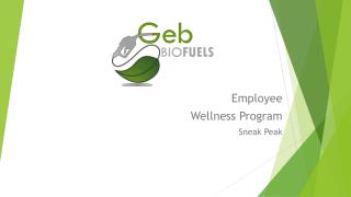 Employee Wellness Program Sneak Peak