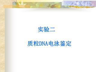 实验二 质粒 DNA 电泳鉴定