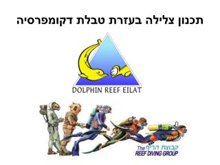 תכנון צלילה בעזרת טבלת דקומפרסיה