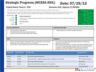 Strategic Programs (MCESA REIL)