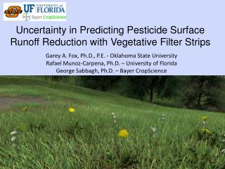 Uncertainty in Predicting Pesticide Surface Runoff Reduction with Vegetative Filter Strips