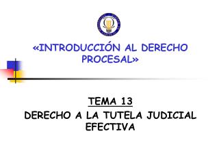 «INTRODUCCIÓN AL DERECHO PROCESAL» TEMA 13 DERECHO A LA TUTELA JUDICIAL EFECTIVA
