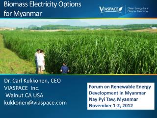 Biomass Electricity Options for Myanmar