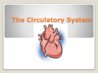 The Circulatory System