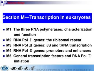 M1 The three RNA polymerases: characterization and function