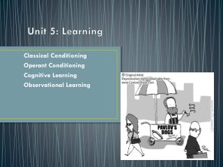 Unit 5: Learning