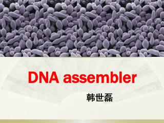 DNA assembler