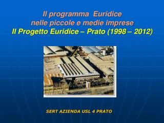 Il programma Euridice nelle piccole e medie imprese Il Progetto Euridice – Prato (1998 – 2012)