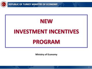 NEW INVESTMENT INCENTIVES PROGRAM