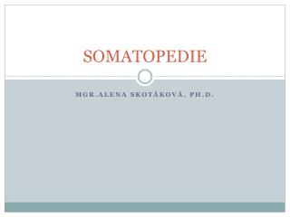 SOMATOPEDIE