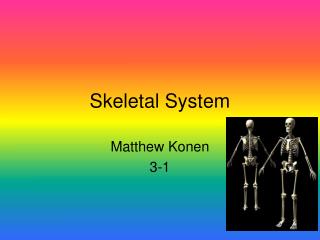 Skeletal System