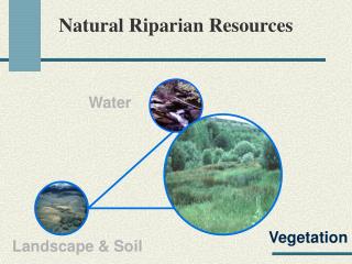 Natural Riparian Resources