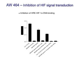 AW 464 – Inhibition of HIF signal transduction