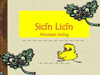 Sicín Licín Múinteoir Aisling