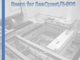 Beam for SeaQuest/E-906 Michael Geelhoed
