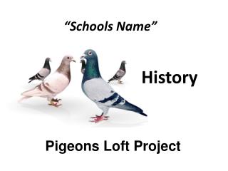 “Schools Name”
