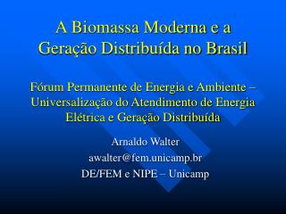 Arnaldo Walter awalter@fem.unicamp.br DE/FEM e NIPE – Unicamp