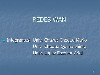 REDES WAN